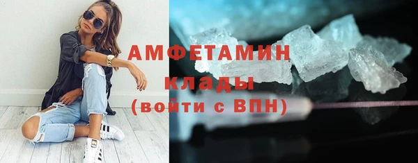 твердый Арсеньев