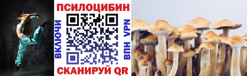 Галлюциногенные грибы MAGIC MUSHROOMS  hydra как войти  Питкяранта 